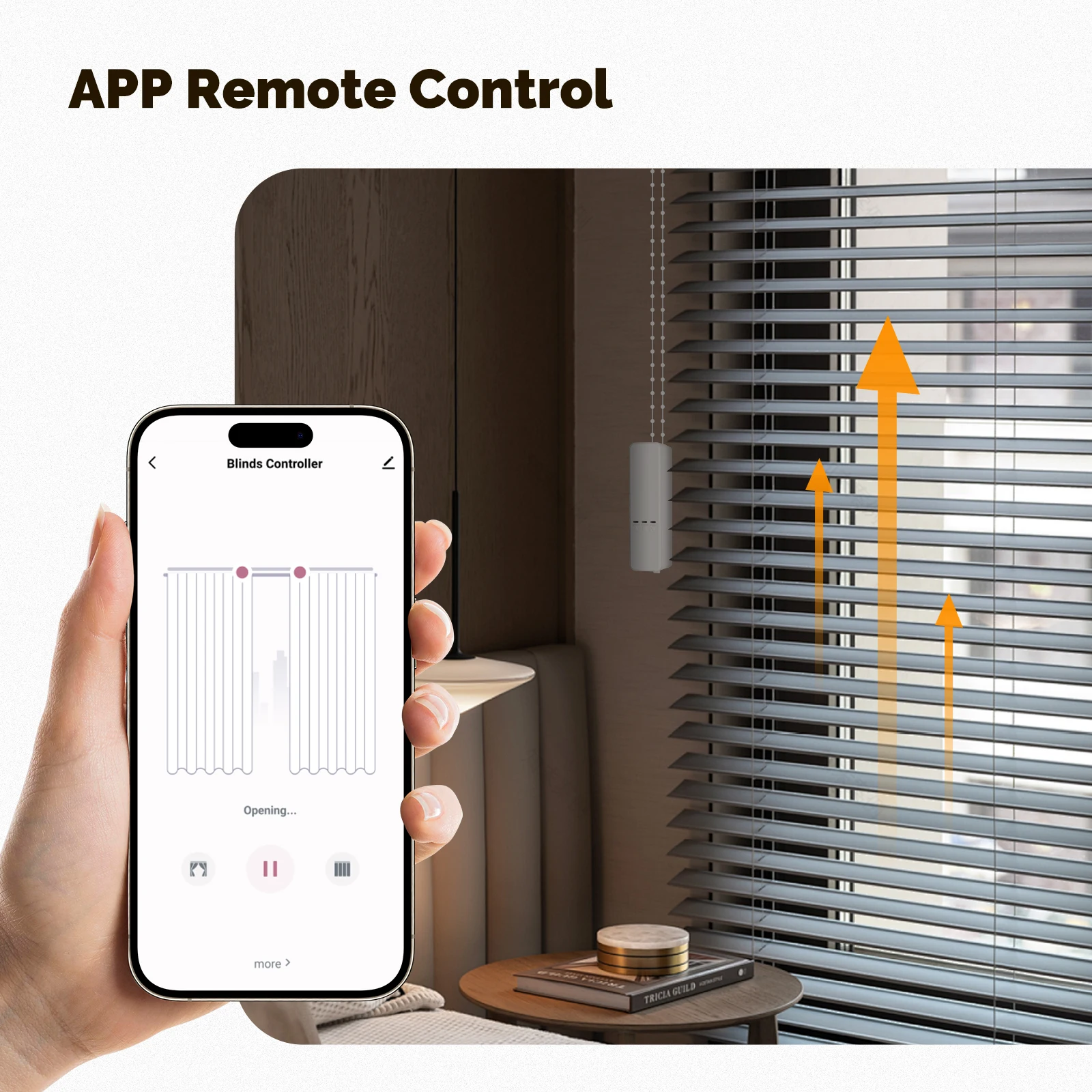 MOES Tuya ZigBee 스마트 체인 롤러 블라인 - Smart Curtain Motor Tuya App 리뷰 및 가격