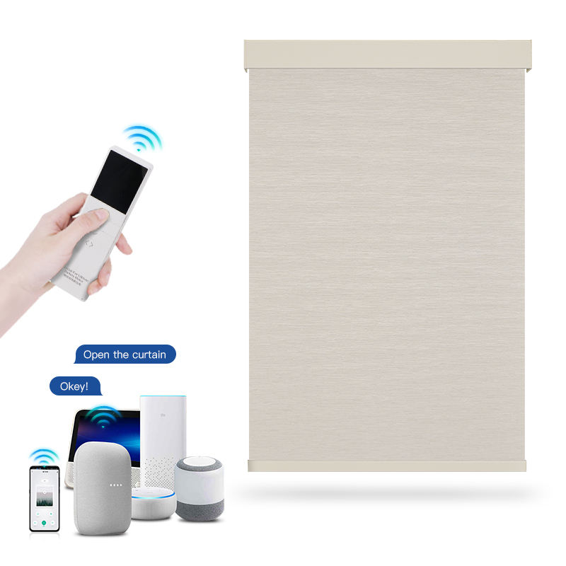 맞춤형 투야 폴리에스터 무선 지그비 전동 스마트 창문  - Motorized Vertical Blind 리뷰 및 가격