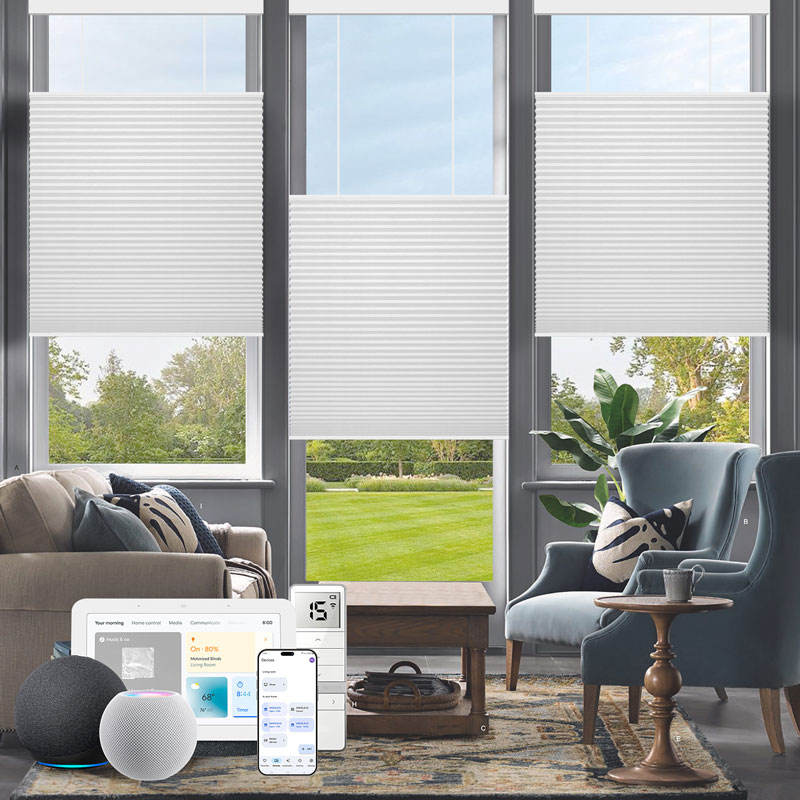호주에서 가장 인기 있는 USB 플러그 충전식 모터 알 - Electric Blind Motor Rechargeable 리뷰 및 가격