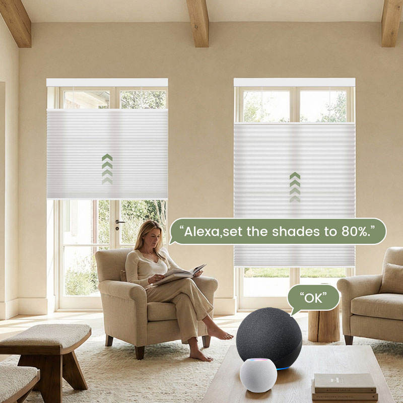호주에서 가장 인기 있는 USB 플러그 충전식 모터 알 - Electric Blind Motor Rechargeable 리뷰 및 가격